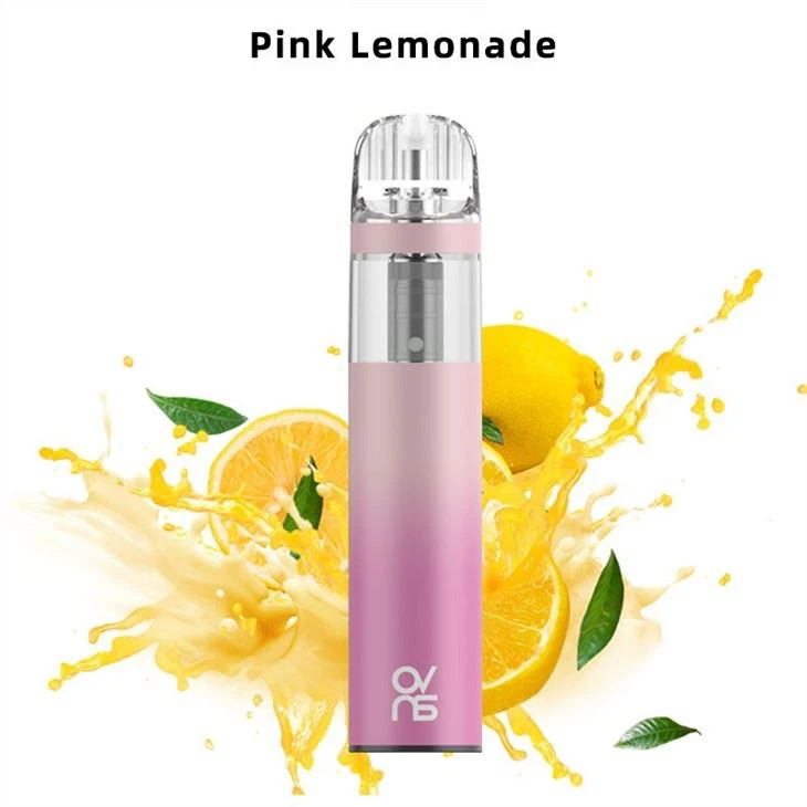 Fruit Flavor Disposable Vape