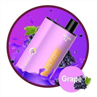 Beste E Cig Vape Mods