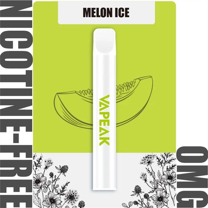 Disposable Electronic Cigarette 600 Puffs