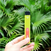 Mesh spole 2500Puffs Vape