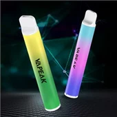 600 Puff Mesh Coil Disponibel Vape