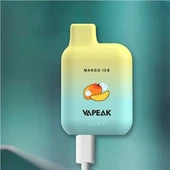 6000 Puff disponibel vape-enhet
