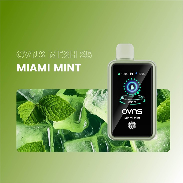 2024 Best Disposable Vapes 30000 Puffs With Touch Screen Or Mega Screen