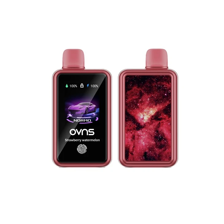 OVNS 30000 Puffs Engangs